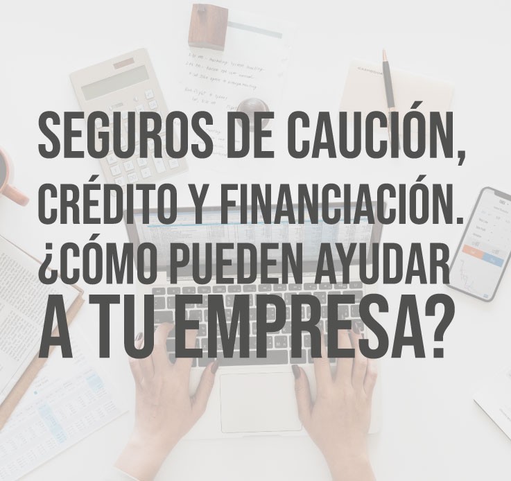 Seguros de Caución, Crédito y Financiación